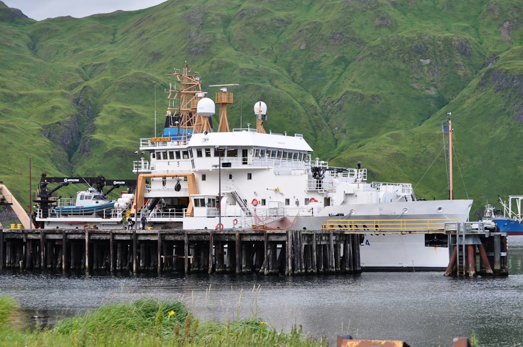 white and black ship on body of water during daytime