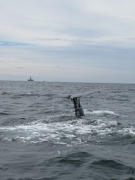 blue sea under blue sky during daytime