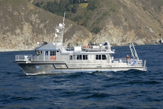 white and black ship on sea during daytime