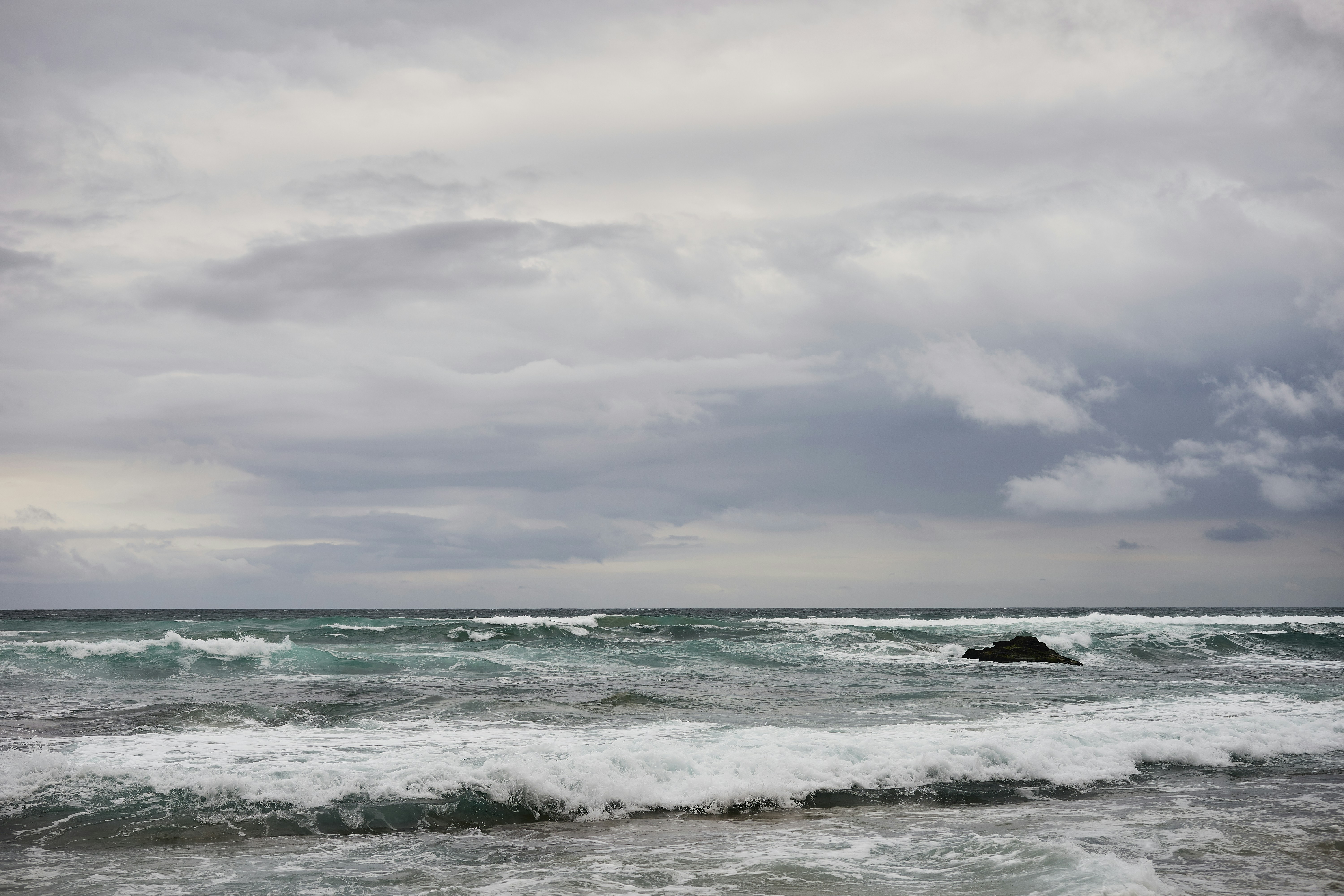 Photo by wolfgang_hasselmann