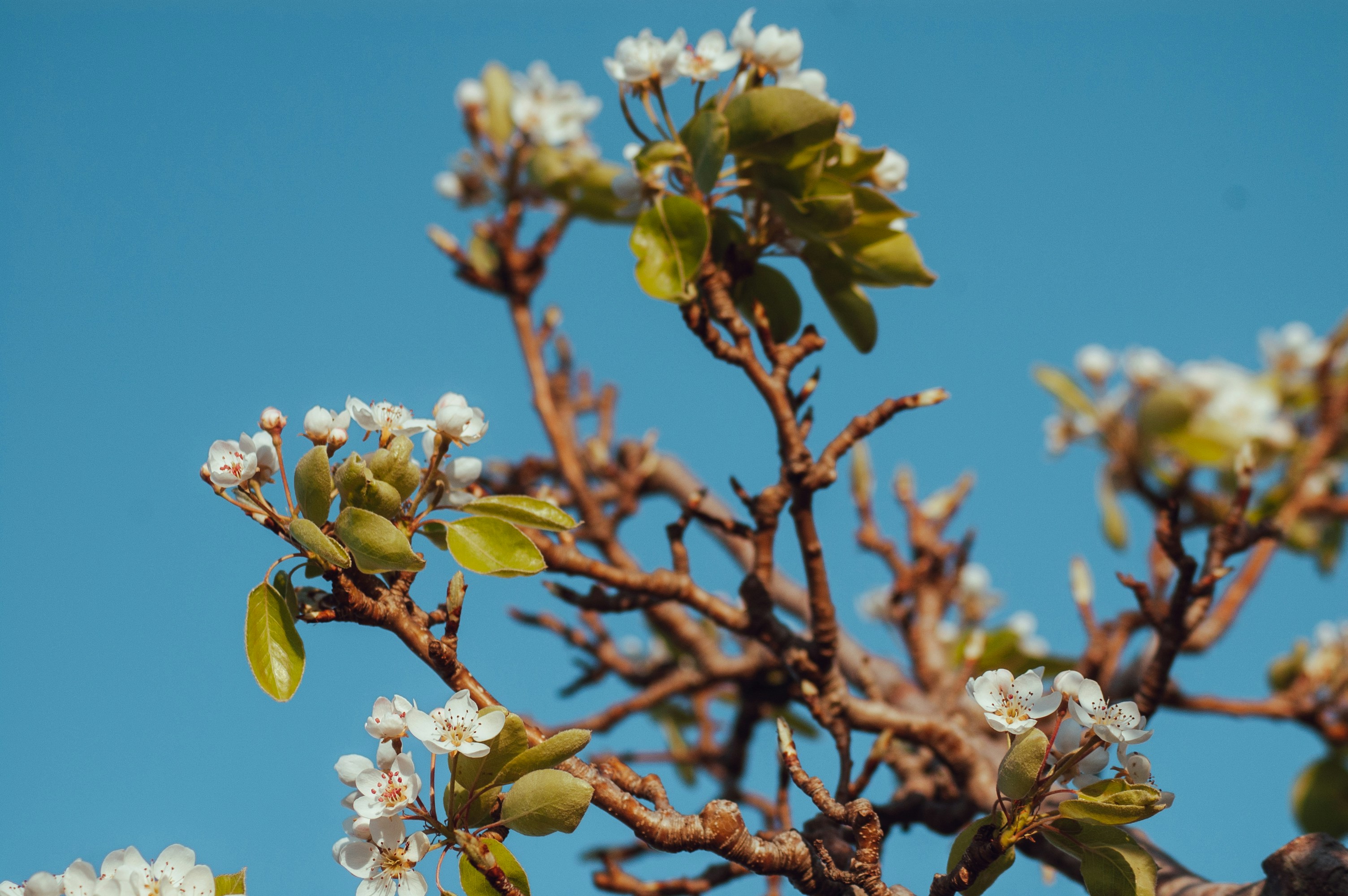 Photo by cosmicgarden