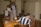 man in gray and blue stripe polo shirt sitting on chair