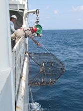 Two people on a ship are lowering a large metal cage into the ocean using a pulley system. One person is leaning over the side, guiding the cage, while the other stands back observing. The sea is calm with clear blue water under a sunny sky.