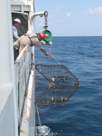 Two people on a ship are lowering a large metal cage into the ocean using a pulley system. One person is leaning over the side, guiding the cage, while the other stands back observing. The sea is calm with clear blue water under a sunny sky.