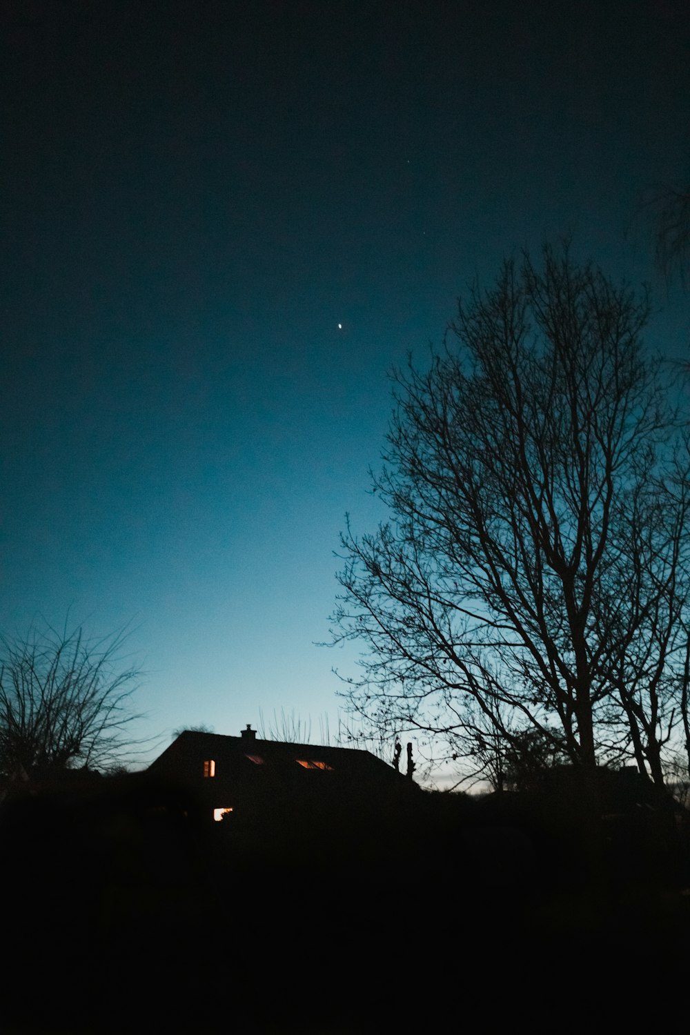 bare trees near house under blue sky during night time