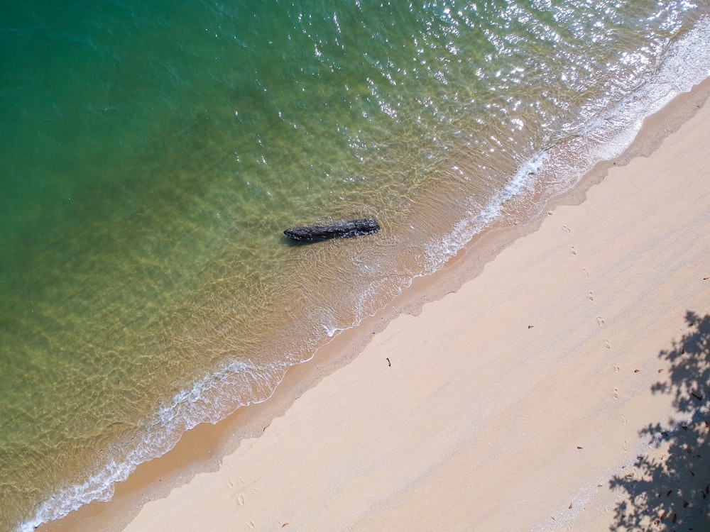 aerial view of beach during daytime