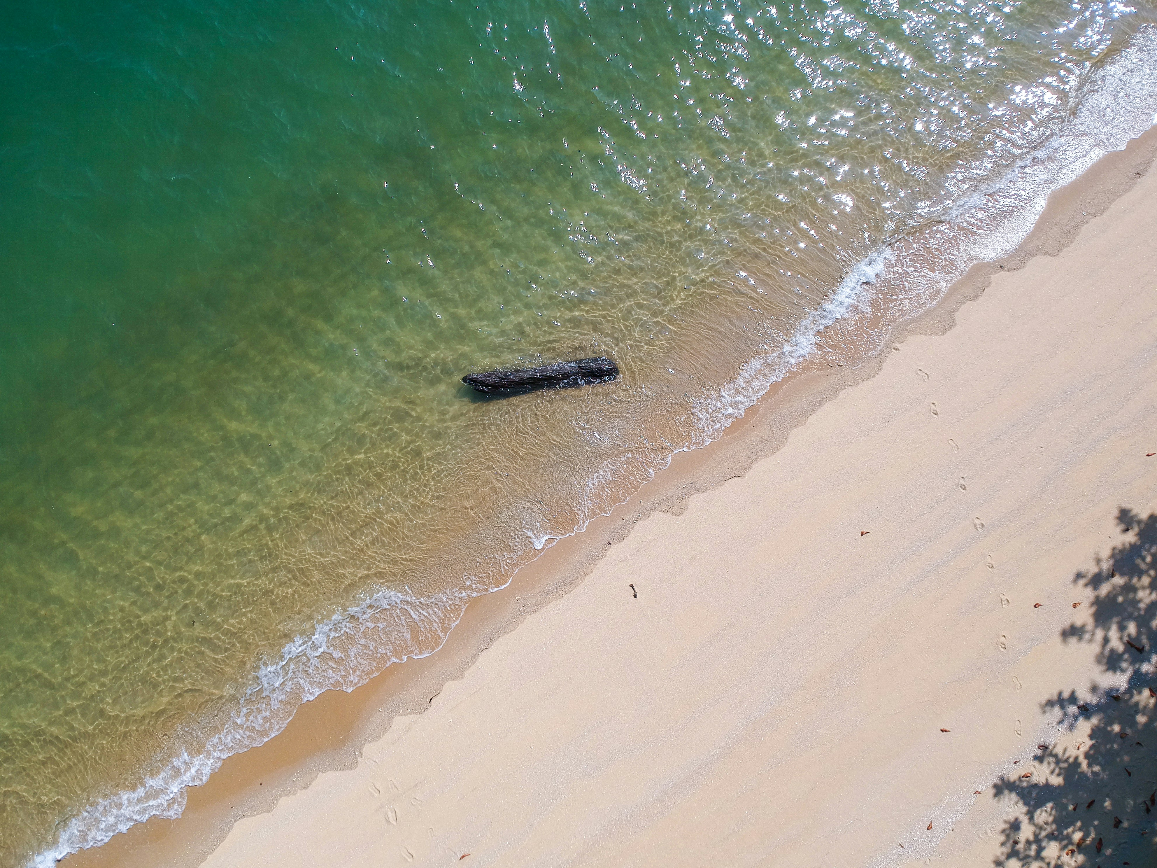 aerial view of beach during daytime