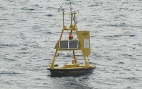 yellow and black sail boat on sea during daytime