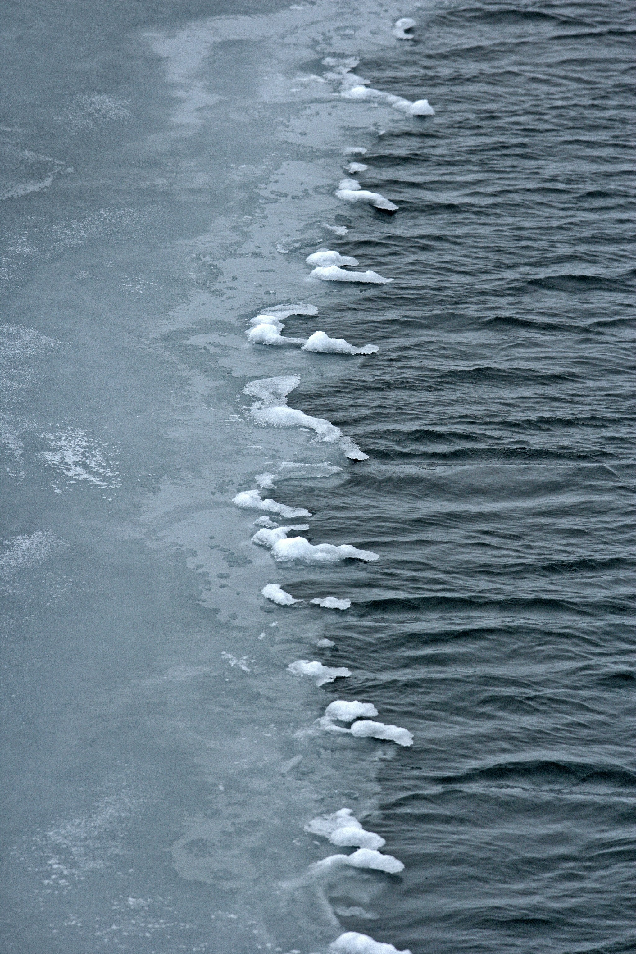 Grease ice forming as the Arctic Ocean cools with the approaching winter. Note damping effect of ice on small wind waves.