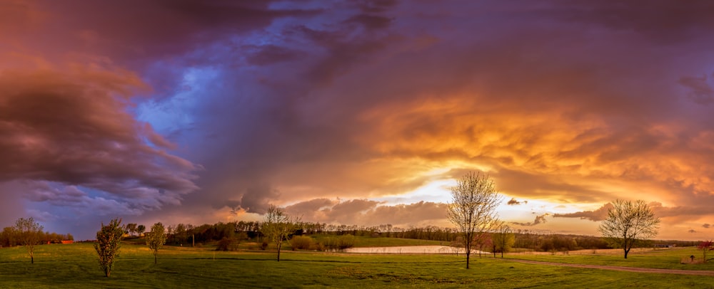 campo de hierba verde con árboles bajo el cielo nublado durante el día