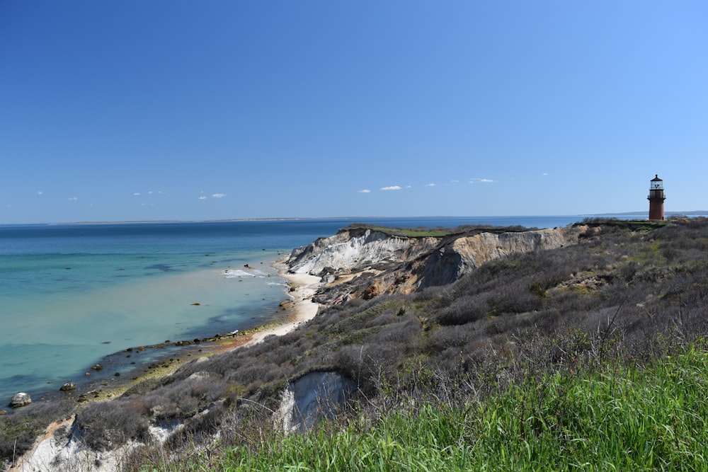 green grass field near sea during daytime