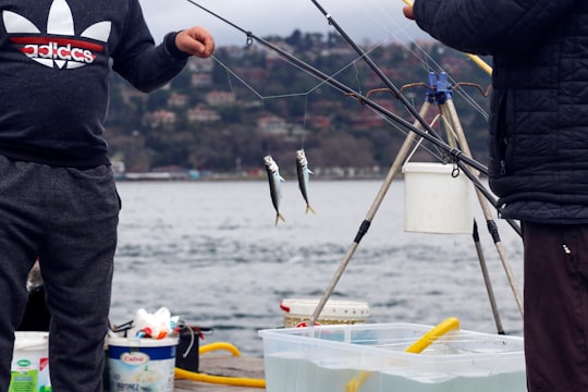 person holding fishing rod and fish in Arnavutköy Turkey