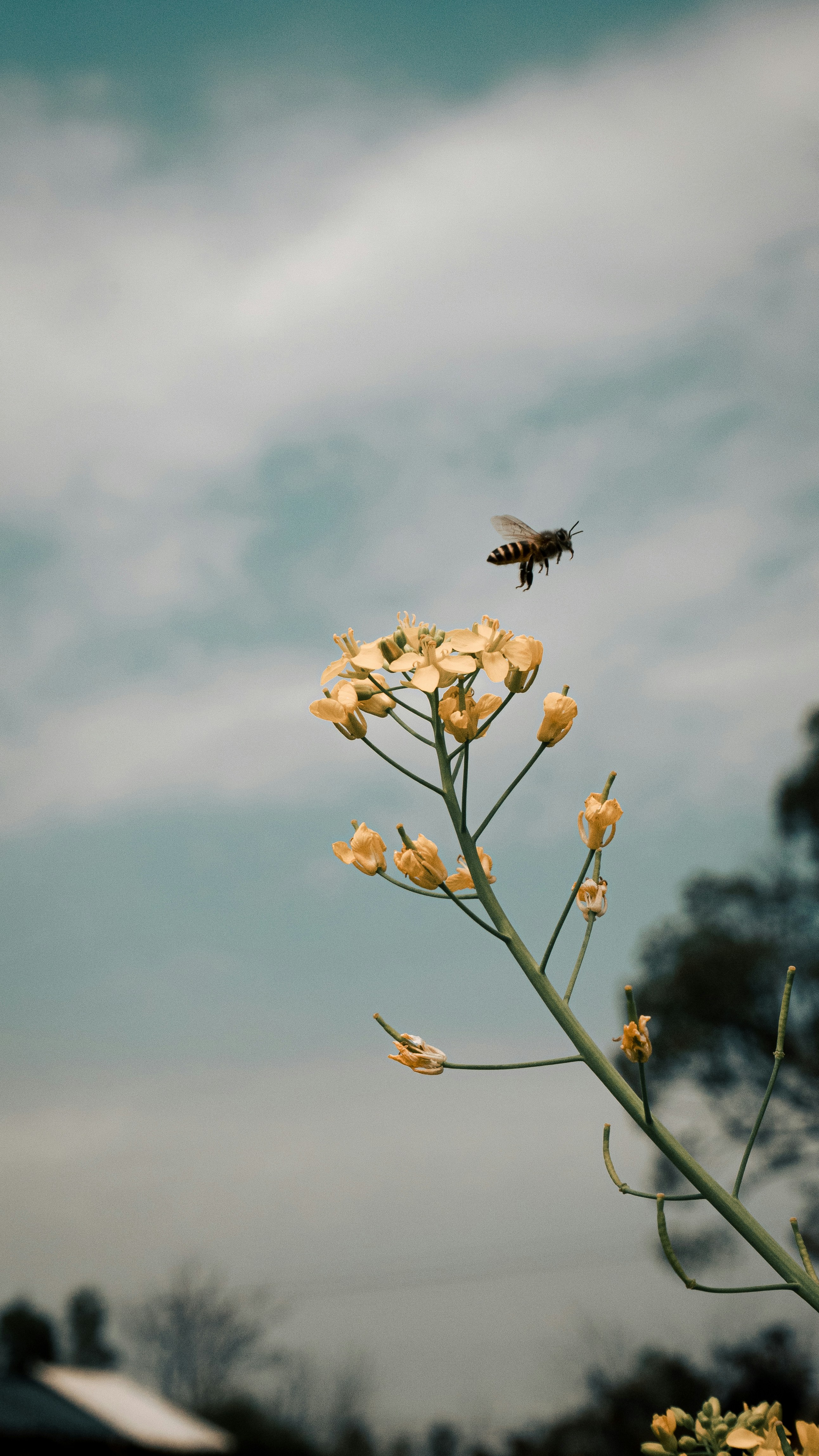 Photo by xiexianghua