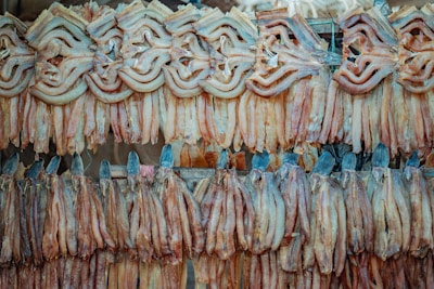 Numerous dried fish hung in rows, displaying a range of textures and hues. The fish are organized neatly, showcasing a common drying method.