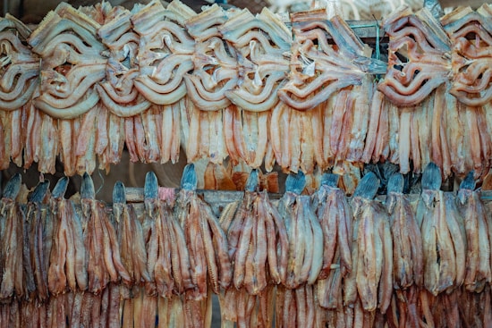 Numerous dried fish hung in rows, displaying a range of textures and hues. The fish are organized neatly, showcasing a common drying method.