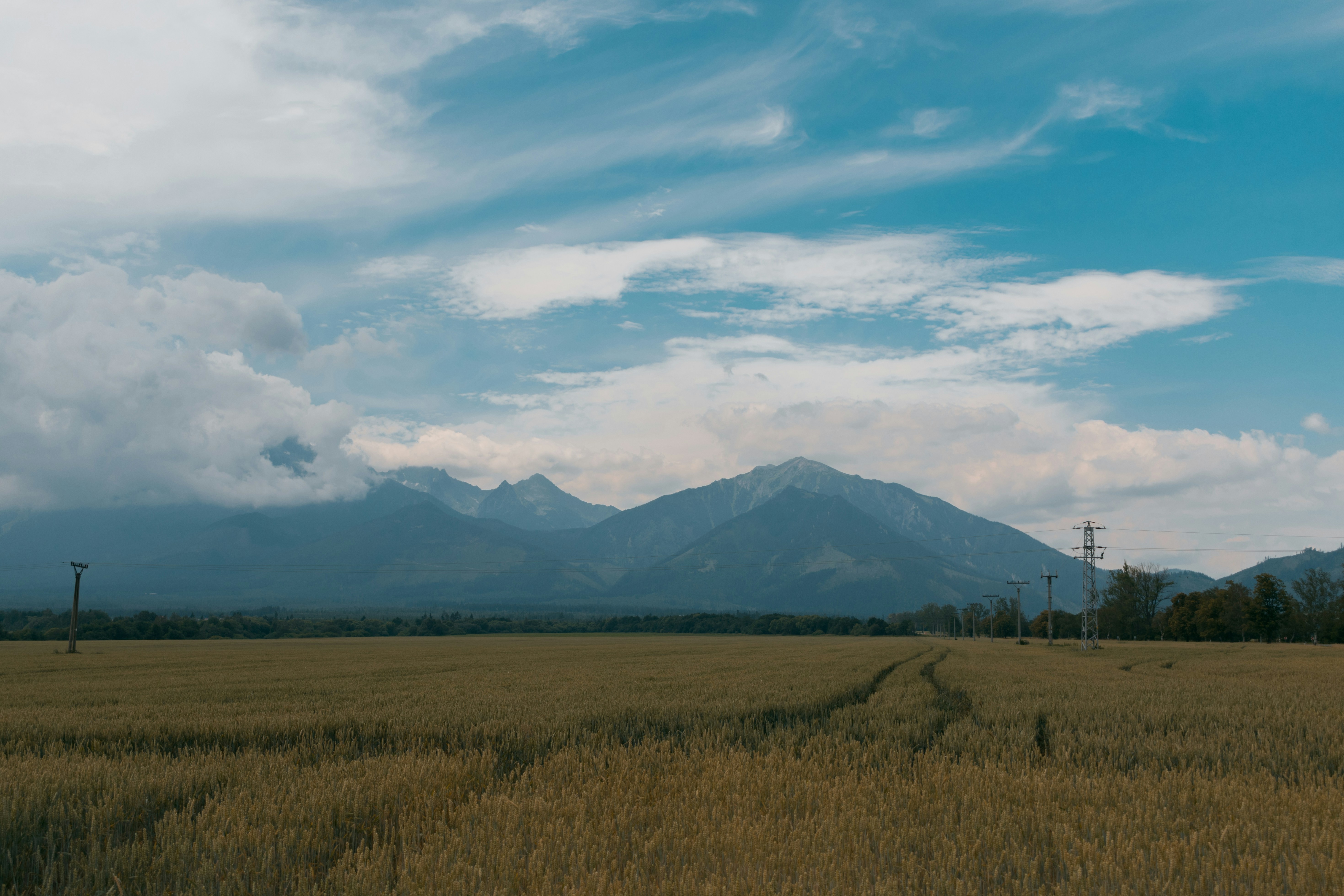 Photo by simonpallard