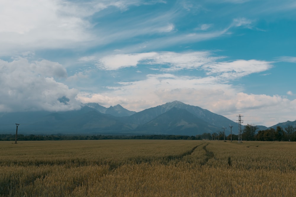 green grass field near mountain under blue sky during daytime