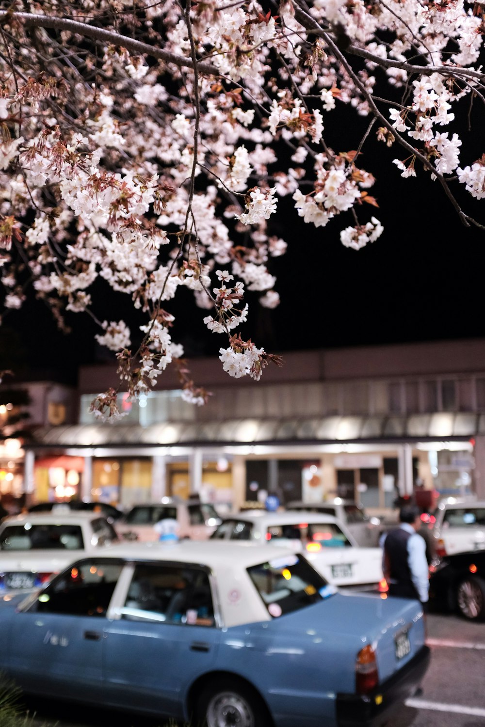 夜の街の白と茶色の木