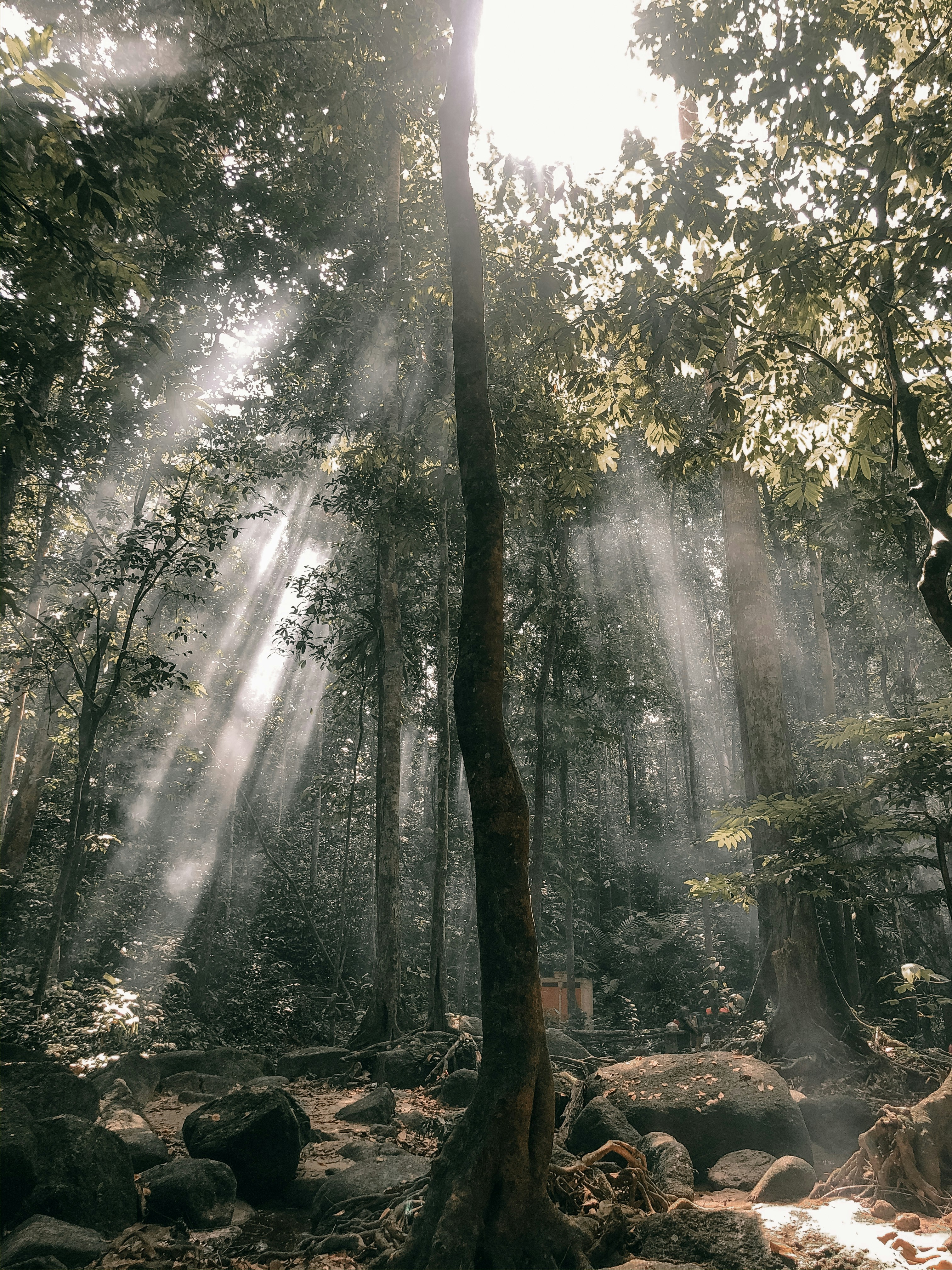 Photo by sharizafrhawat