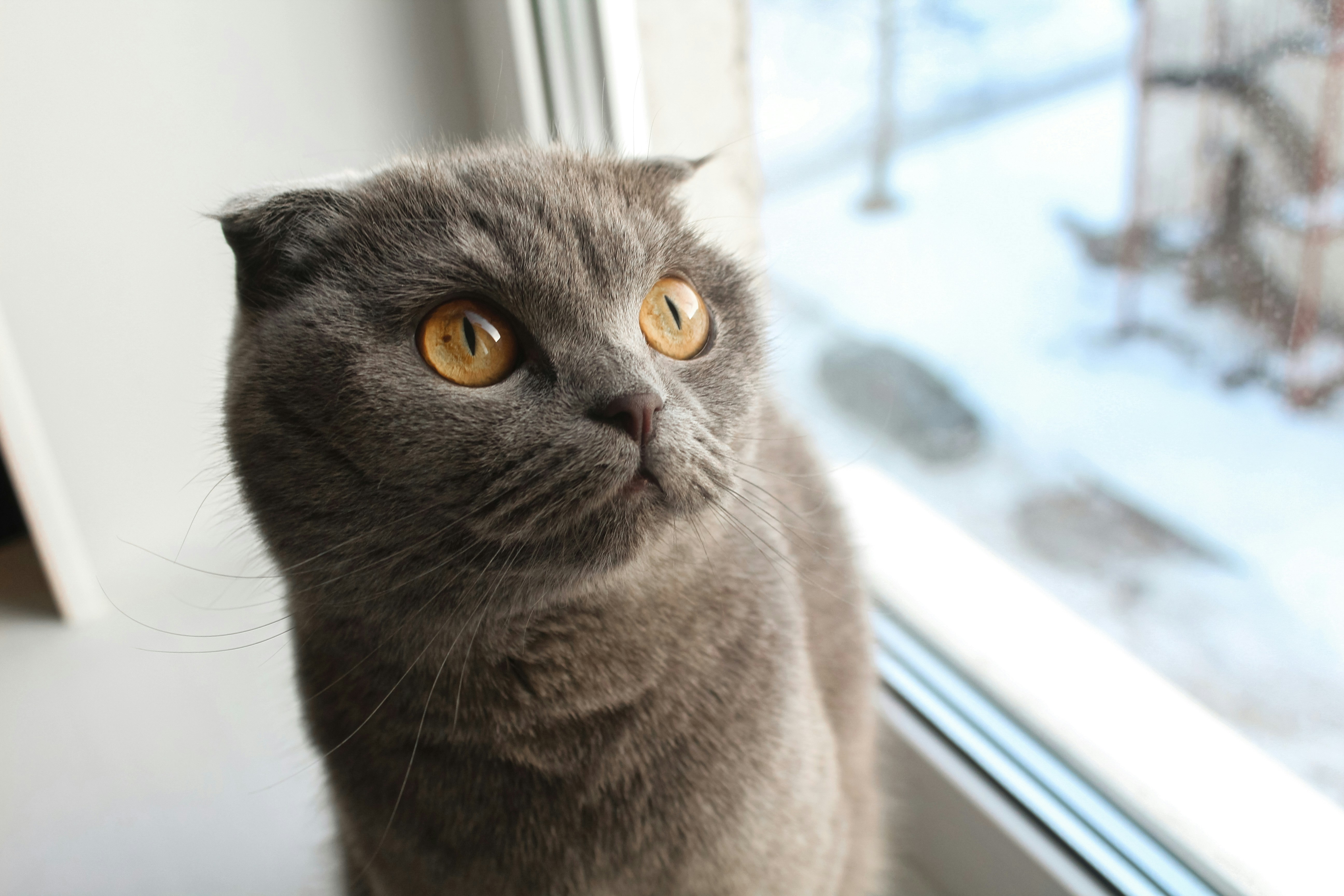 Photo by west_wildfire