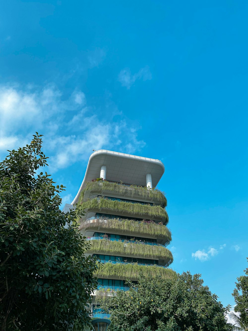 green and brown concrete building under blue sky during daytime