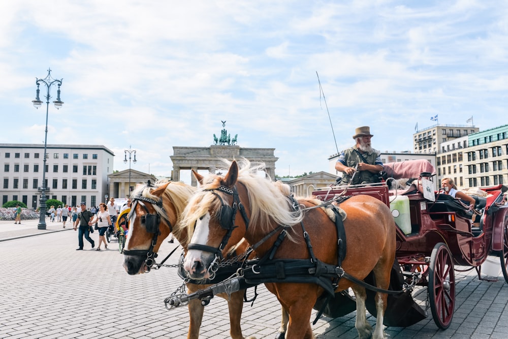 people riding horses on street during daytime