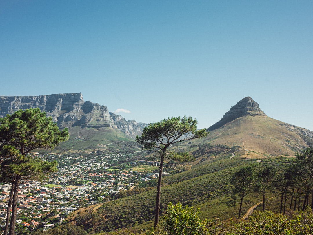 green trees on mountain during daytime