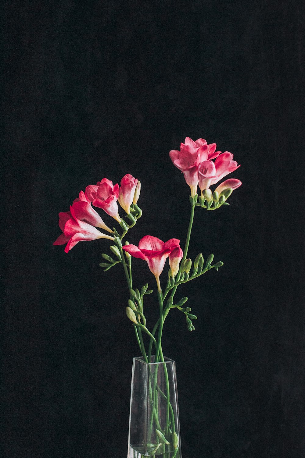 pink roses in clear glass vase