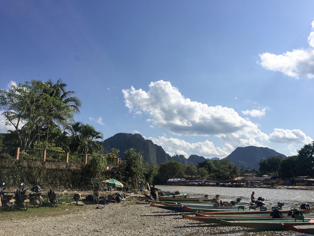 people on beach during daytime