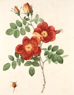 red flower with green leaves painting