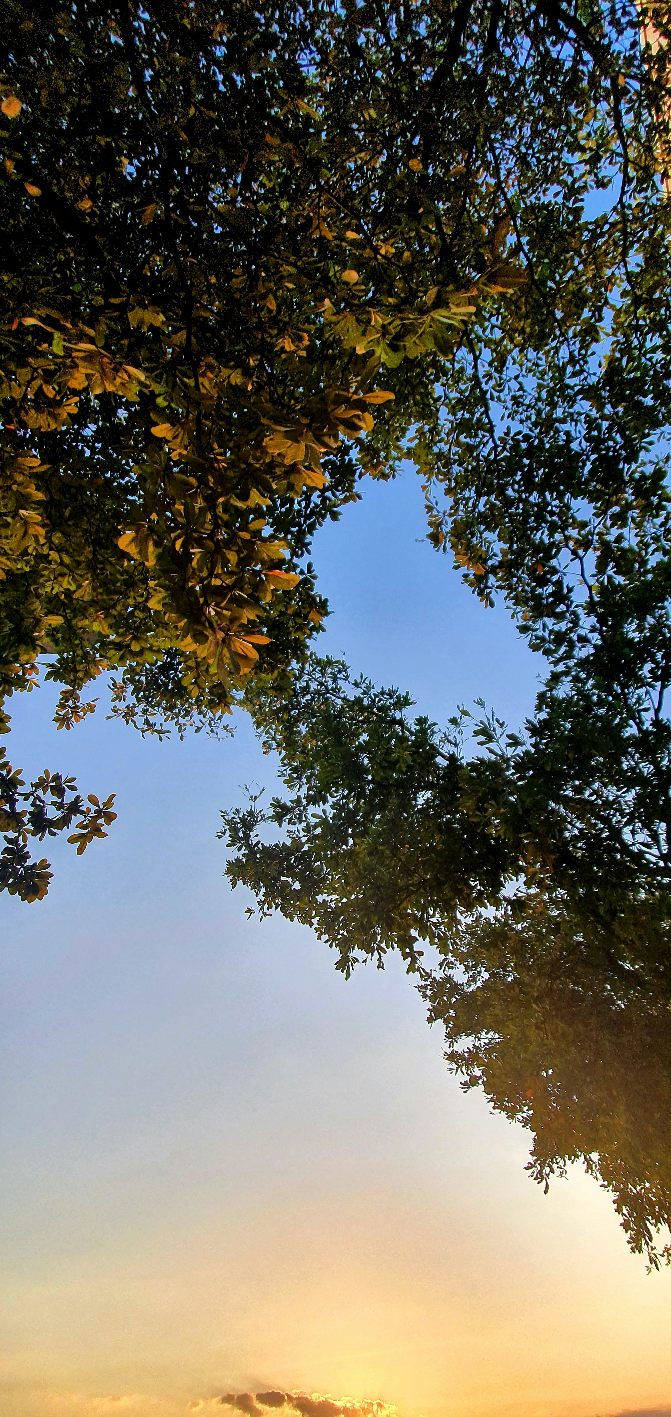 Photo by xavi_litt1906