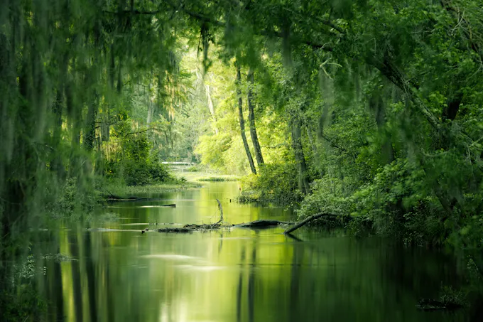 Green trees beside a calm river, similar to the Little Juniata River setting along Pinecroft, PA