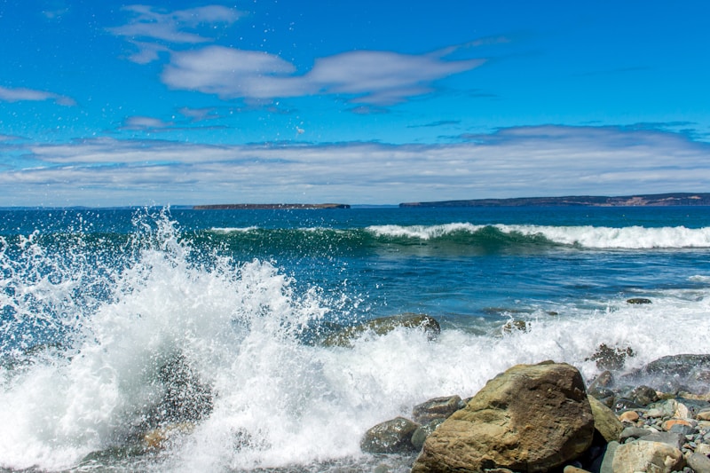 Conception Bay South