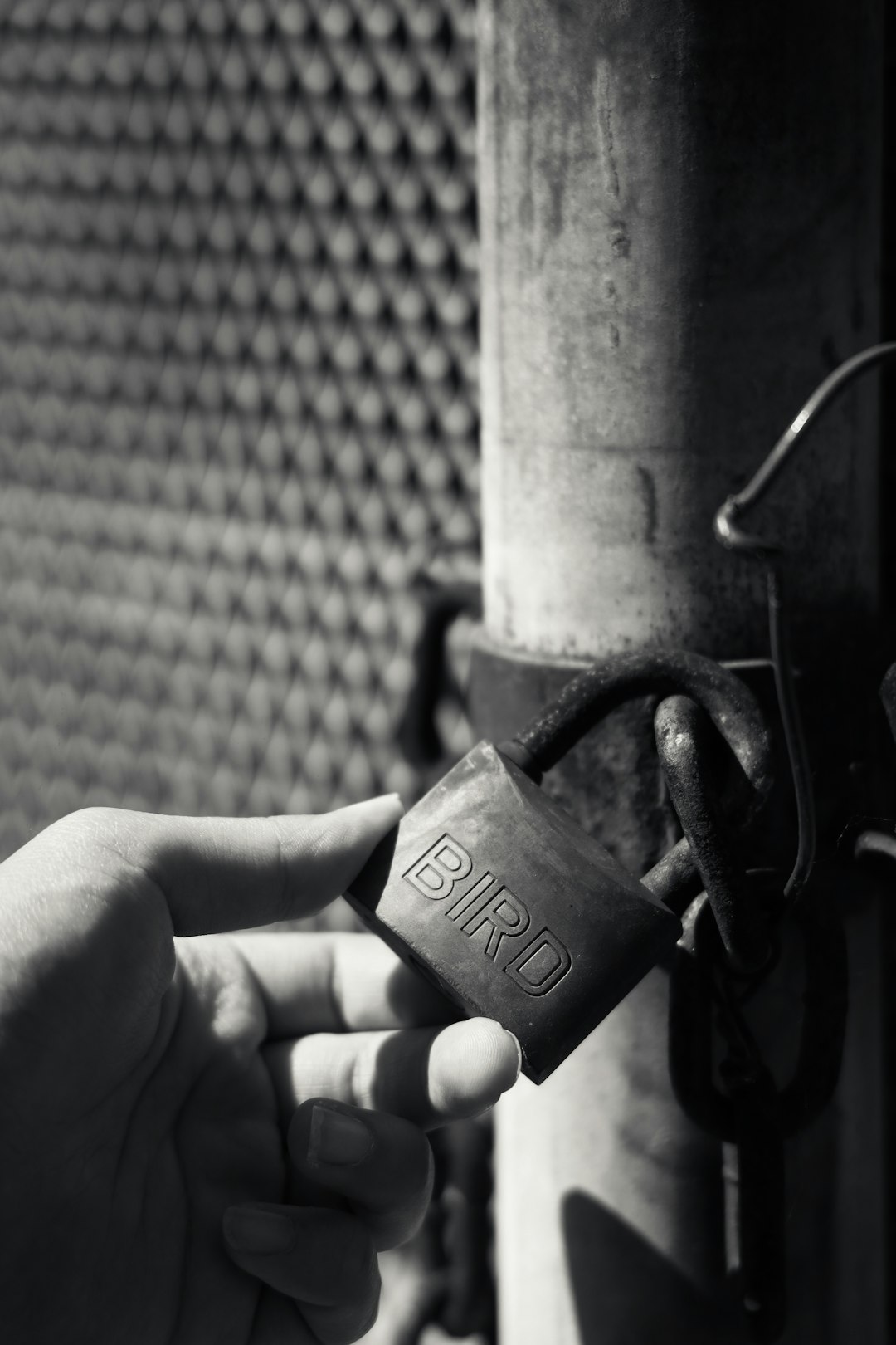 person holding gray padlock with padlock