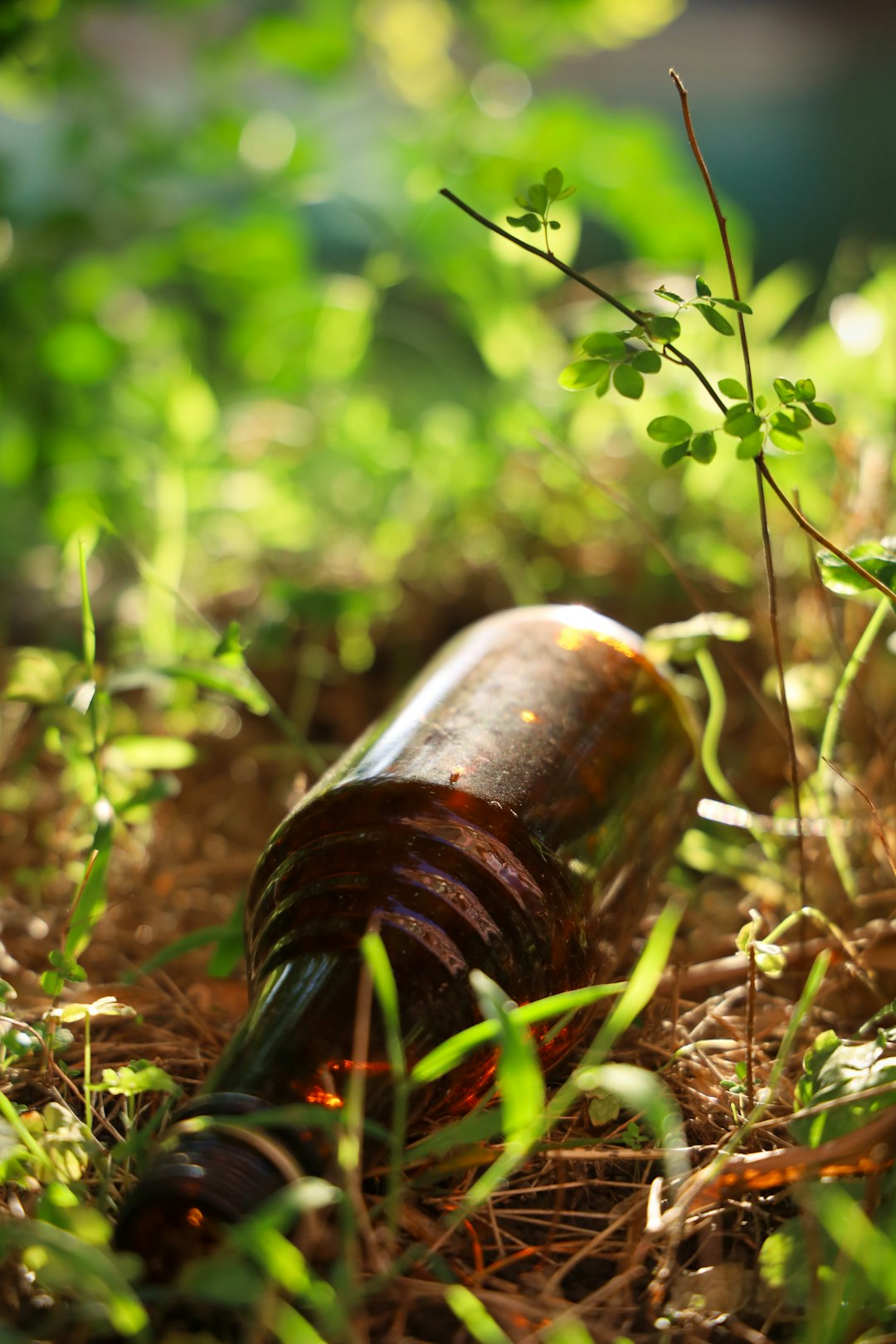 brown glass bottle on green grass during daytime