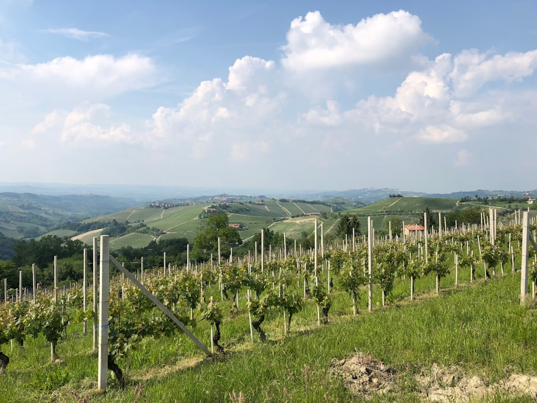 travelers stories about Hill station in Piedmont, Italy