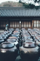 A traditional Korean courtyard lined with large clay jars used for fermentation. The jars are arranged in neat rows, partially sheltered by a traditional building with wooden doors and a tiled roof. In the background, the season appears to be early spring, with barren branches visible.