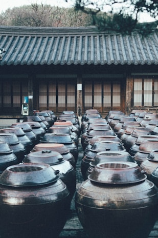 A traditional Korean courtyard lined with large clay jars used for fermentation. The jars are arranged in neat rows, partially sheltered by a traditional building with wooden doors and a tiled roof. In the background, the season appears to be early spring, with barren branches visible.