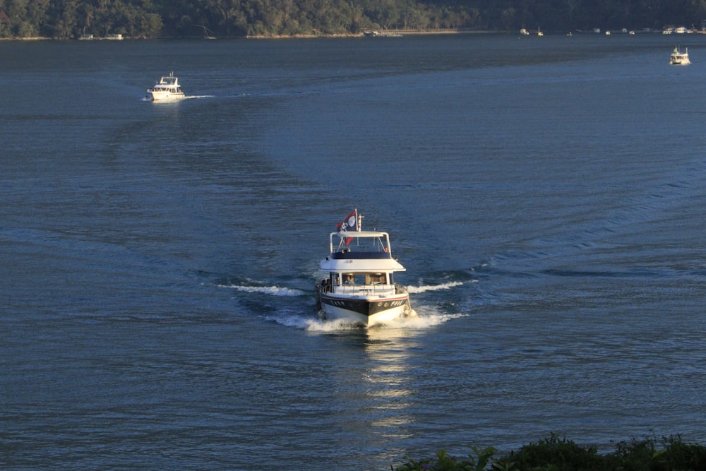 white and blue boat on body of water during daytime