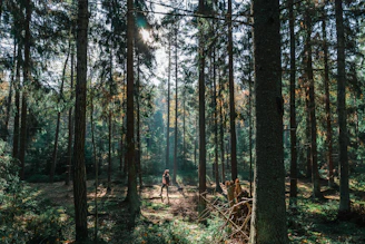 person in black jacket walking on forest during daytime