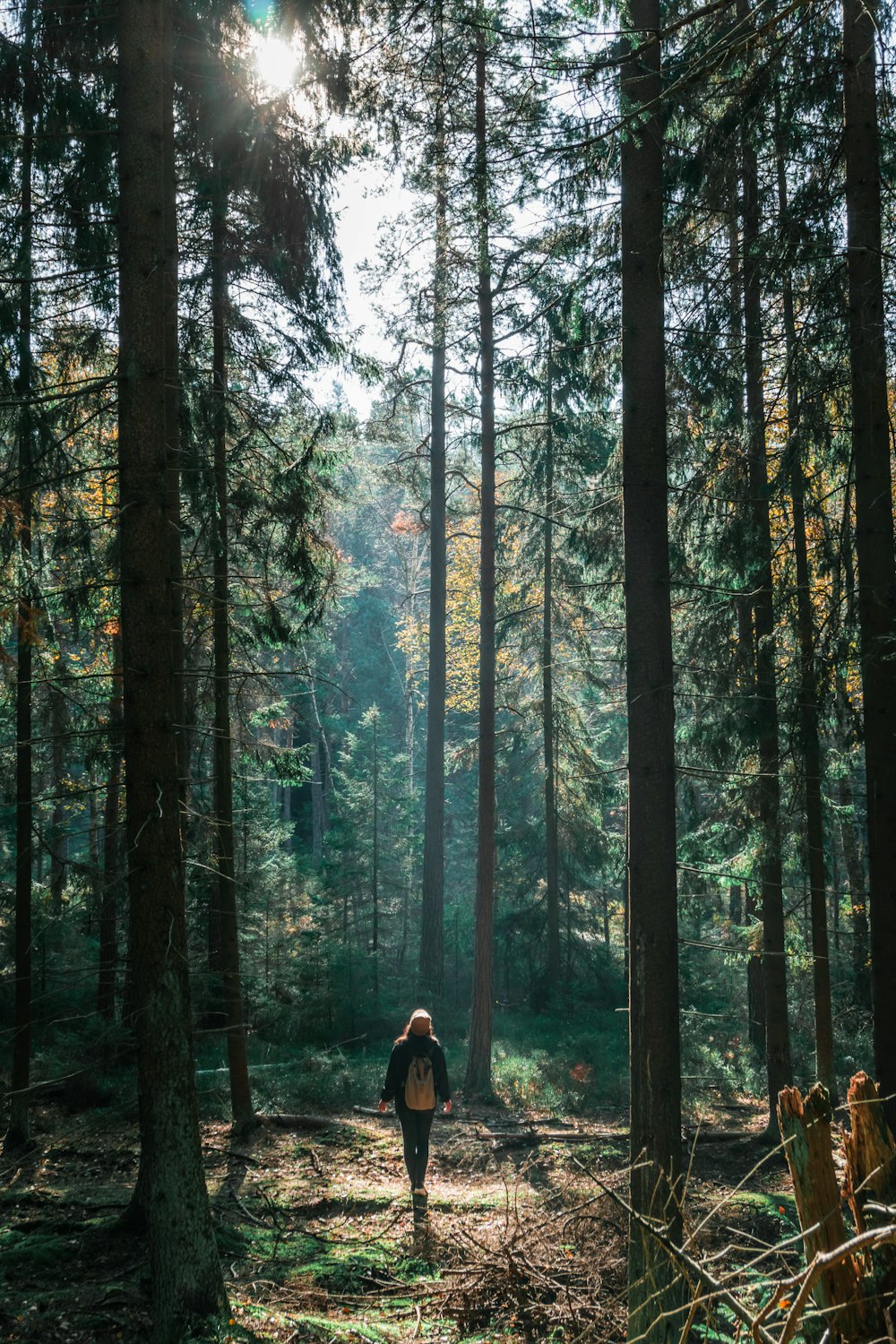man in black jacket standing in the woods during daytime