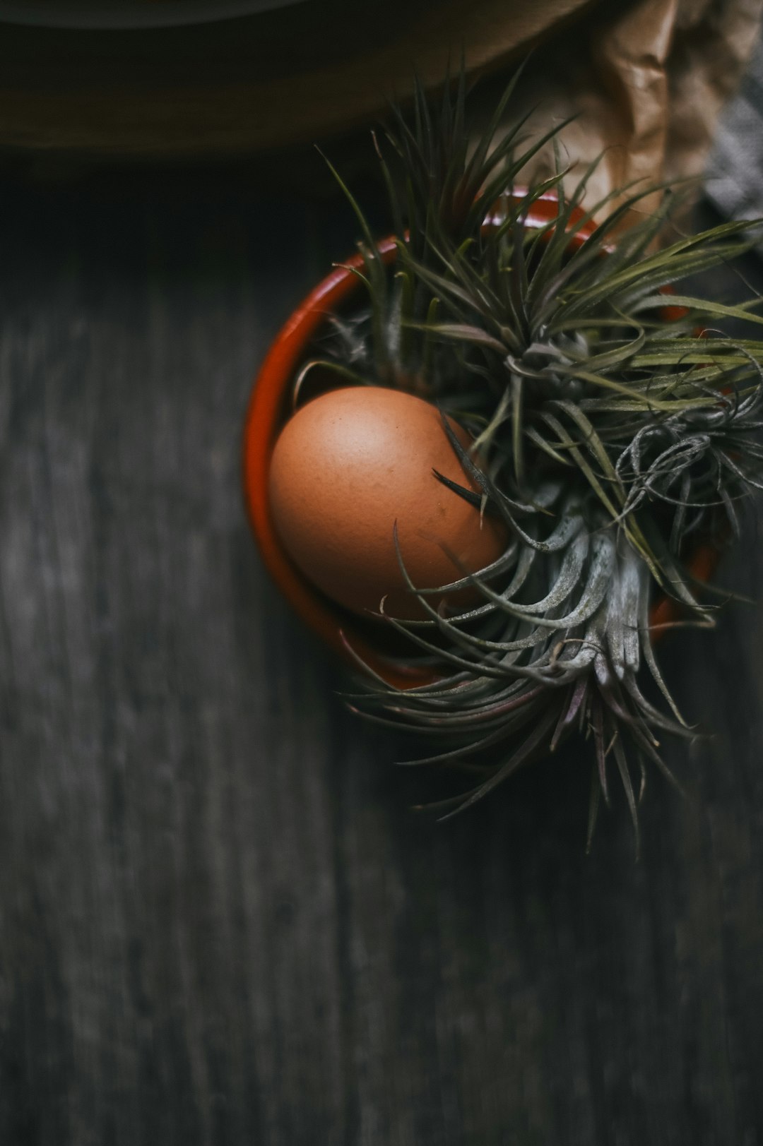 brown egg on gray wooden surface