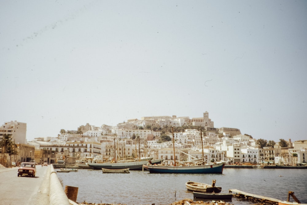 white and brown boat on water near city buildings during daytime