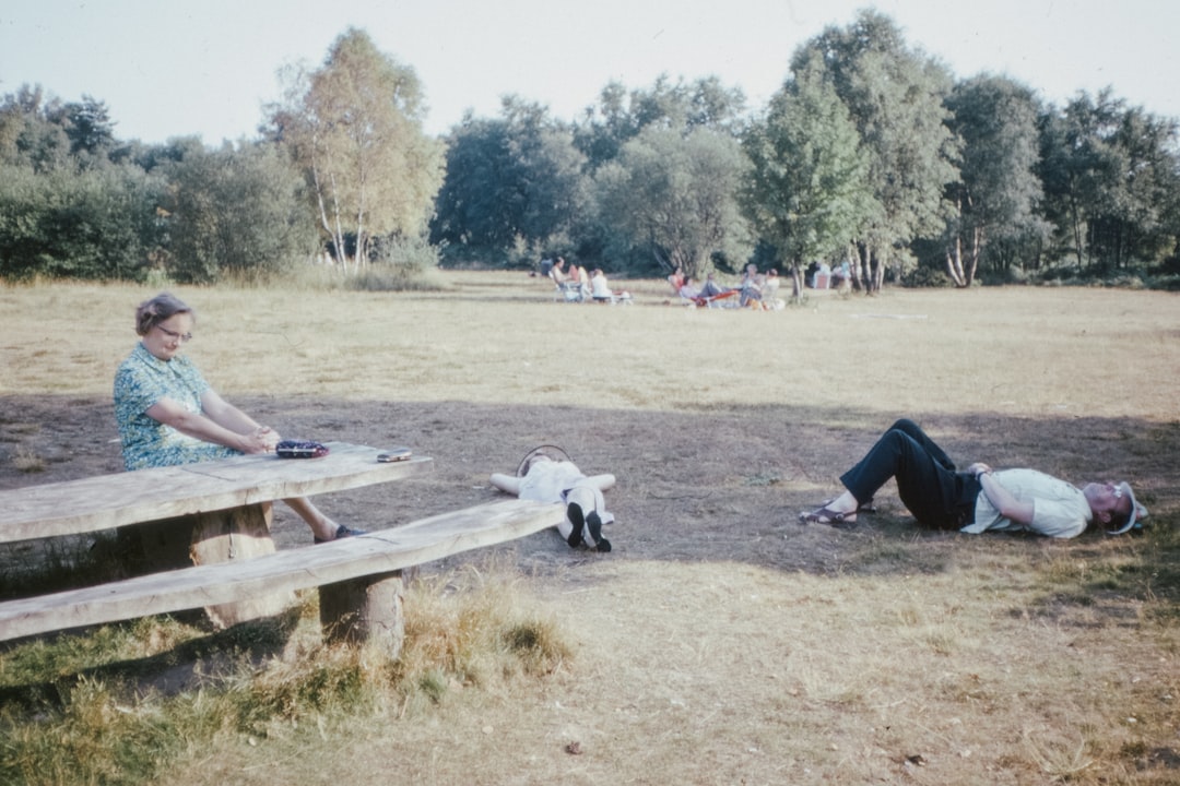 people sitting on brown wooden picnic table during daytime