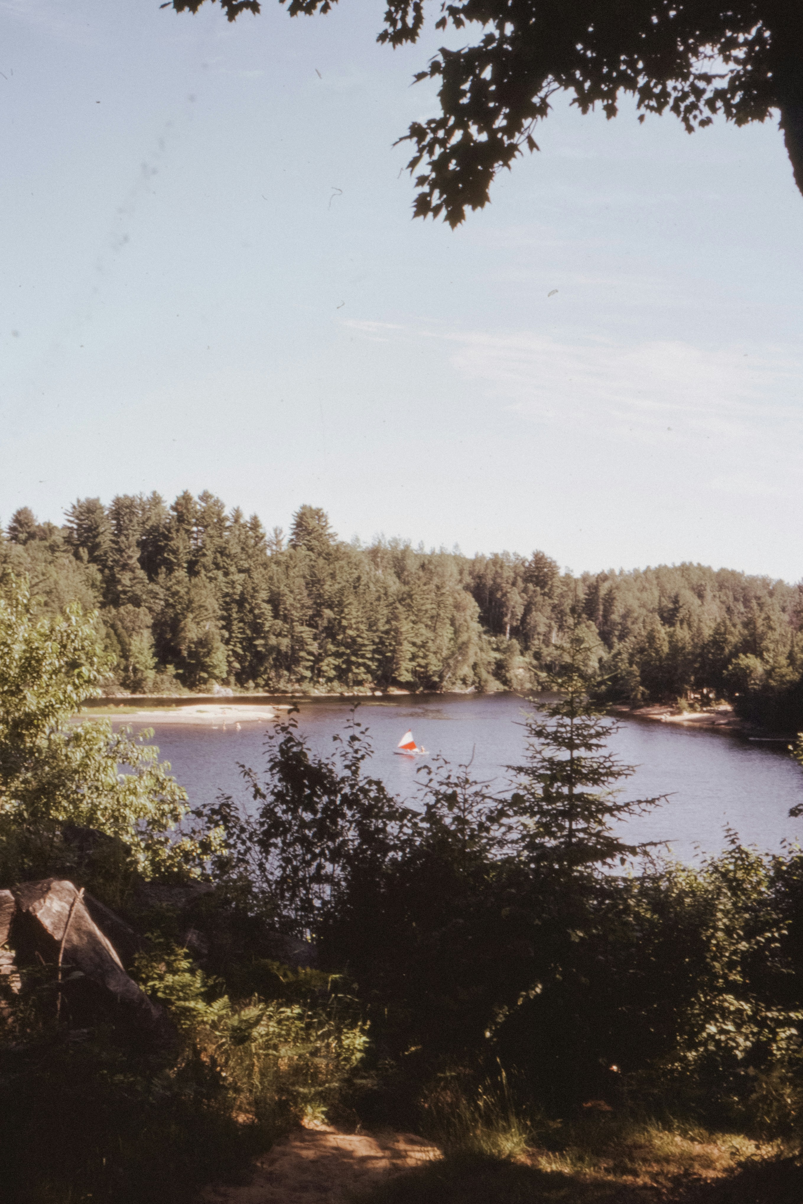 Photo by anniespratt