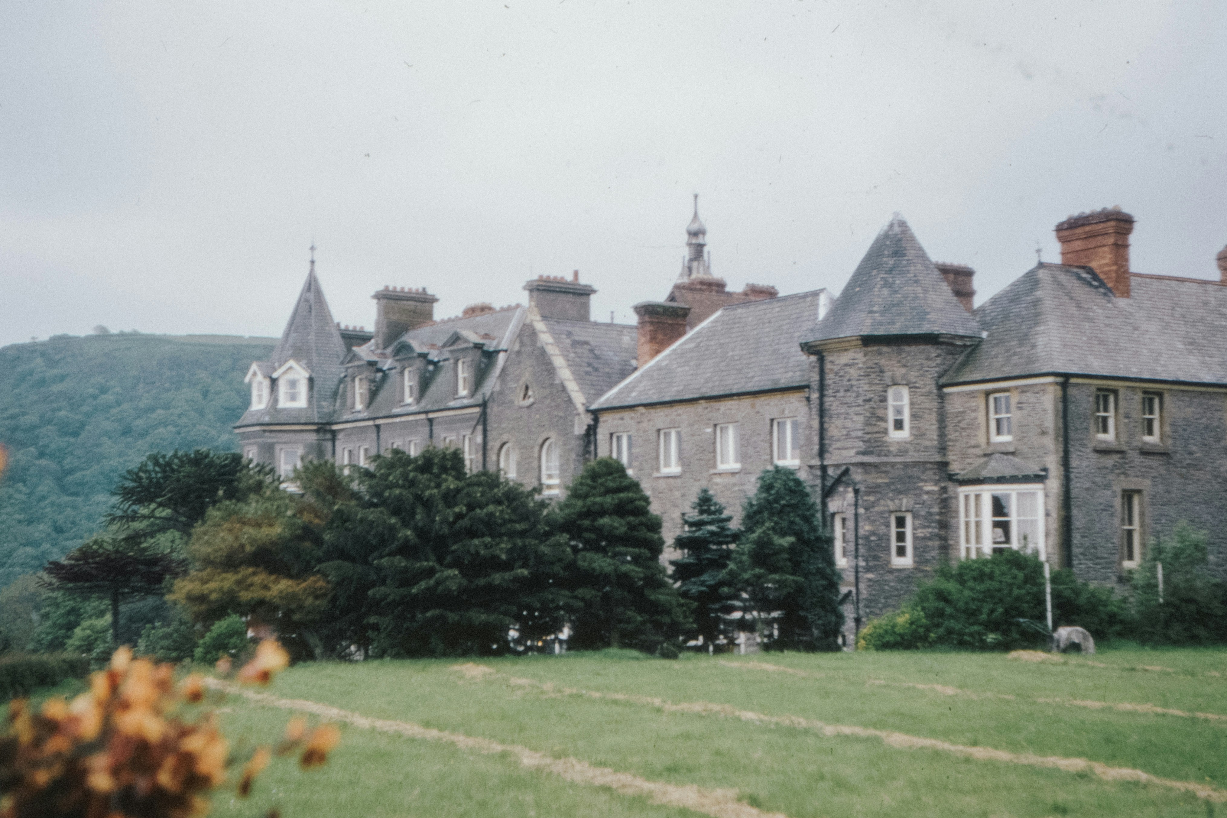 Photo by anniespratt