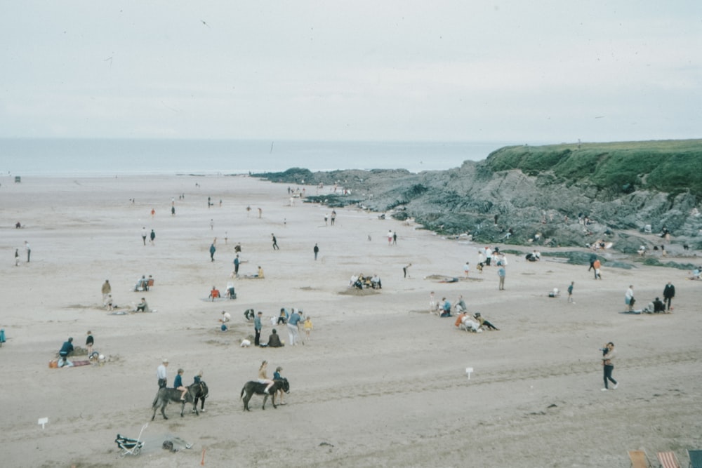 people on beach during daytime