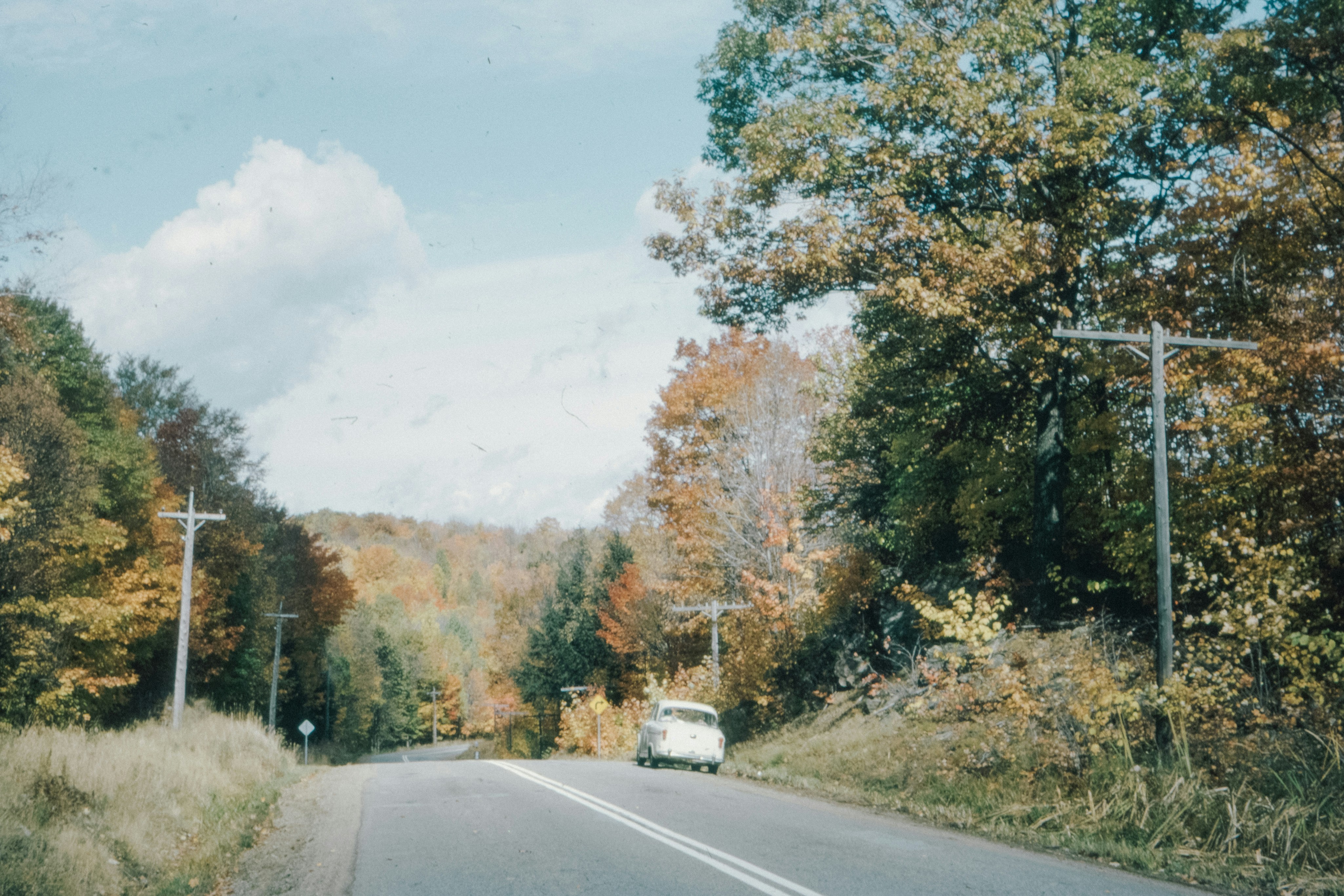 Photo by anniespratt