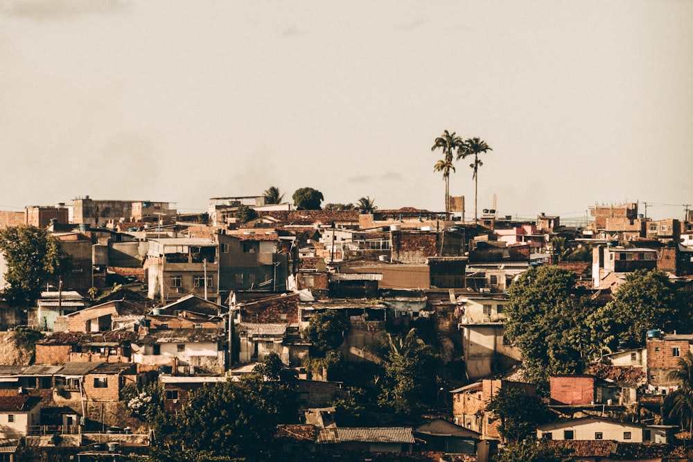 brown and white concrete houses