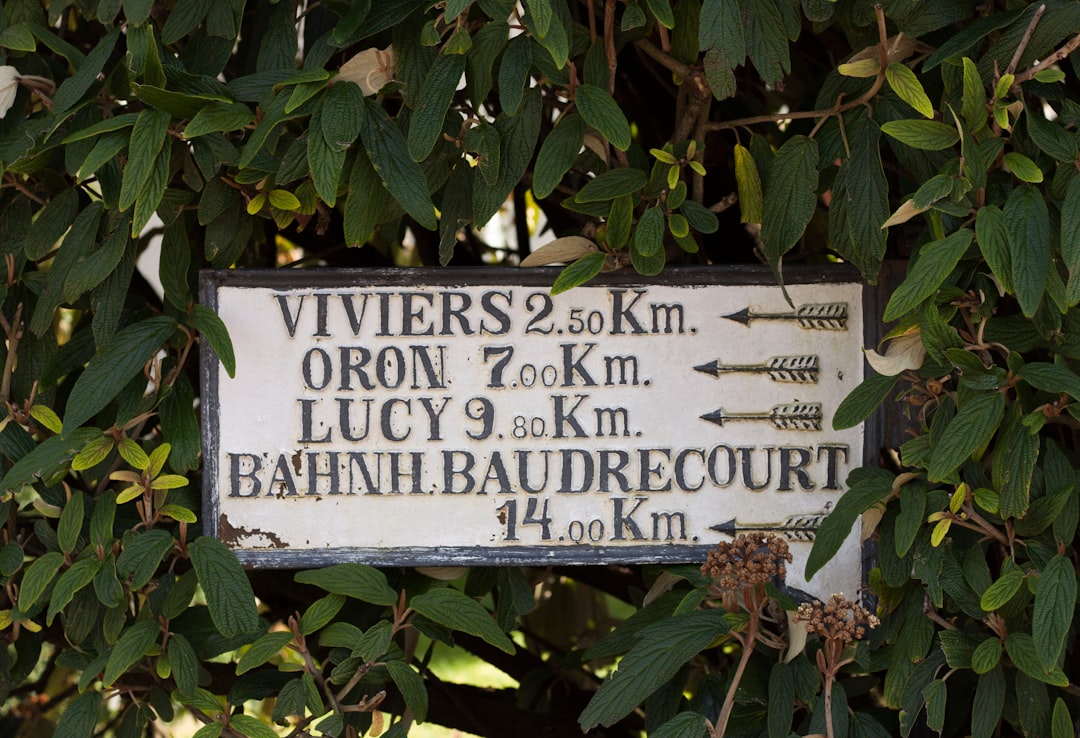 photo of Delme Nature reserve near Place Stanislas